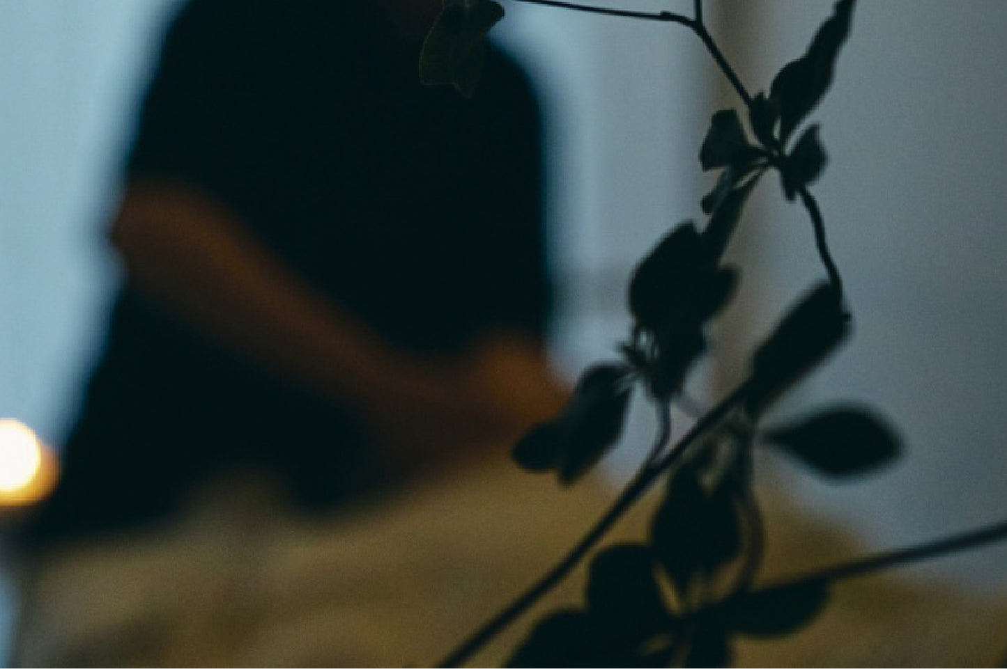 155min|発酵温熱木浴+解放(ドライヘッドスパ)+余韻