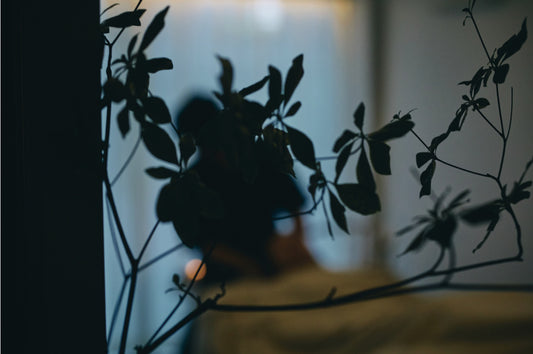 貸切|155min|発酵温熱木浴+解放(ボディマッサージorドライヘッドスパ)+余韻